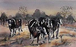 [cows I]