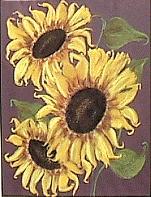 [sunflower]